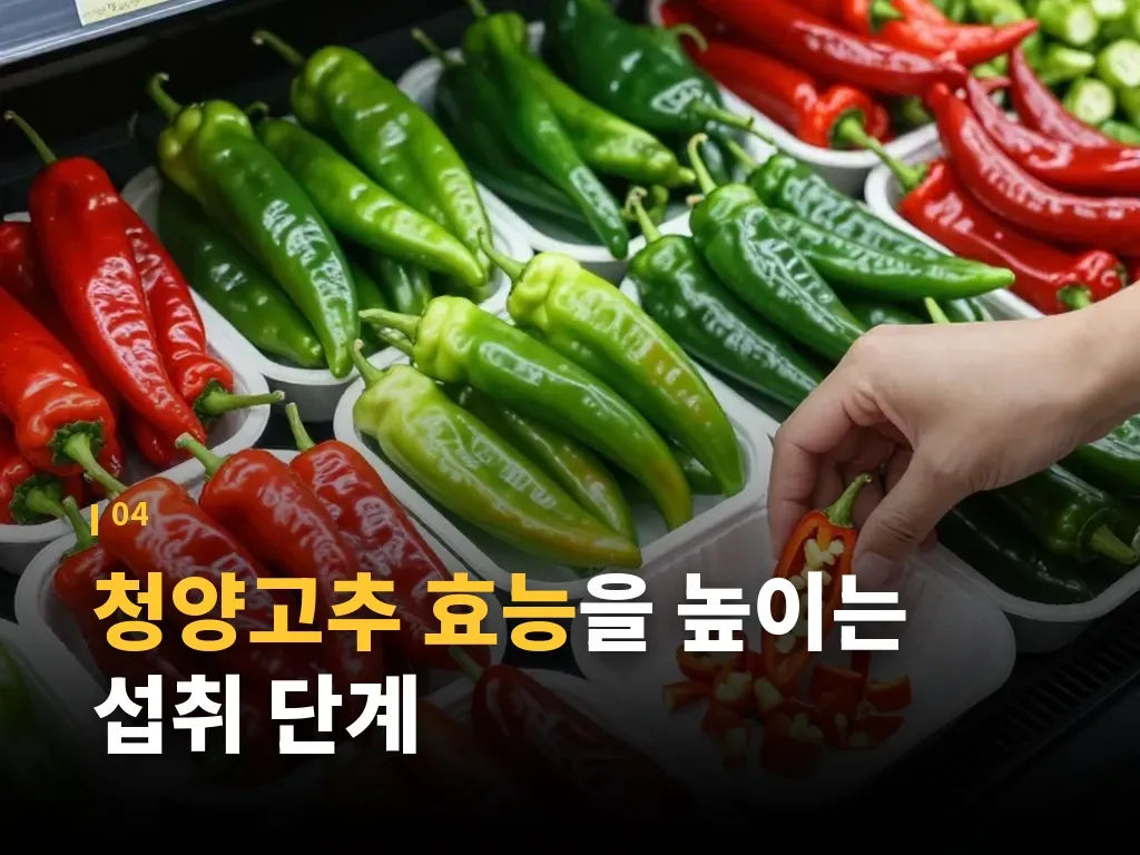 청양고추 효능과 보관법 이미지