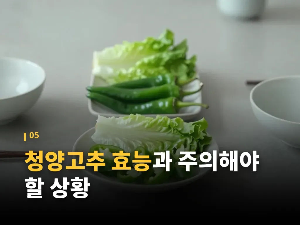 청양고추 효능의 분류별 활용법 이미지