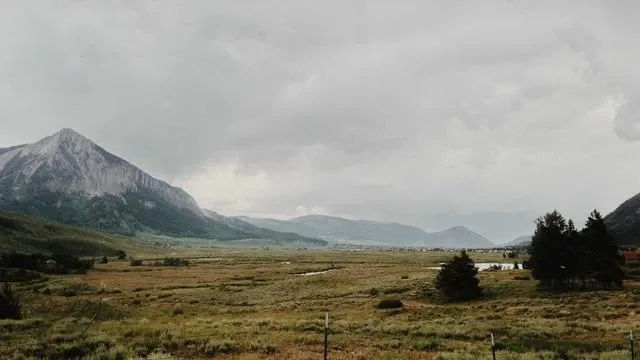 핵심 요약 이미지