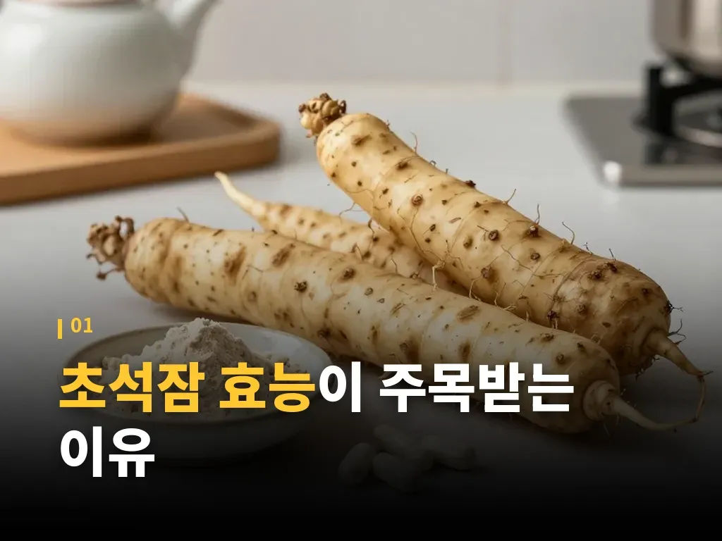 초석잠재배와 수확 시기, 품질 차이 이미지
