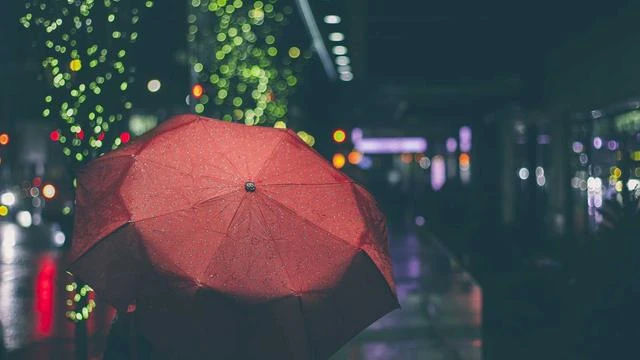 최민정 쇼트트랙 선수 자주 묻는 질문 Q&A 이미지