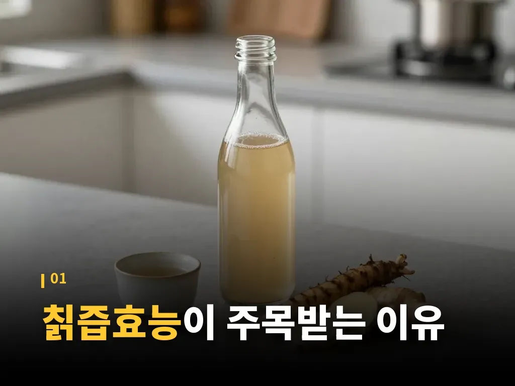 칡즙 종류별 차이와 선택 기준 이미지