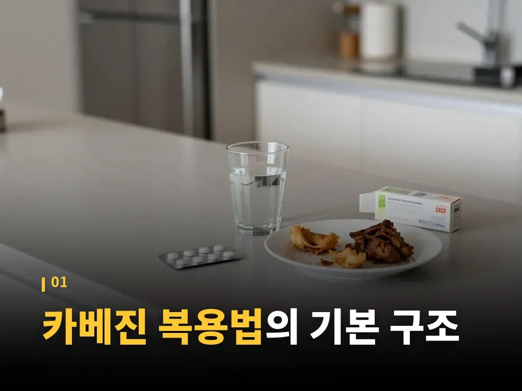 복용 시점과 식후 원칙 이미지