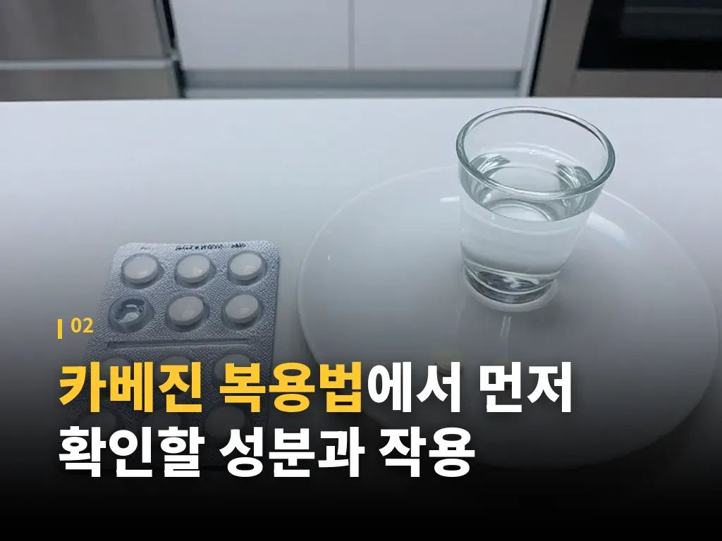 카베진 복용법과 한국 제품 비교 이미지