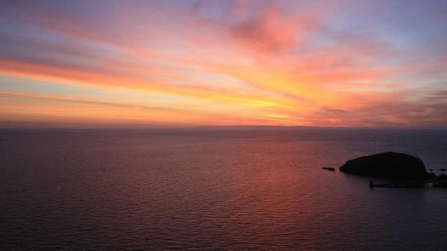 핵심 요약 이미지