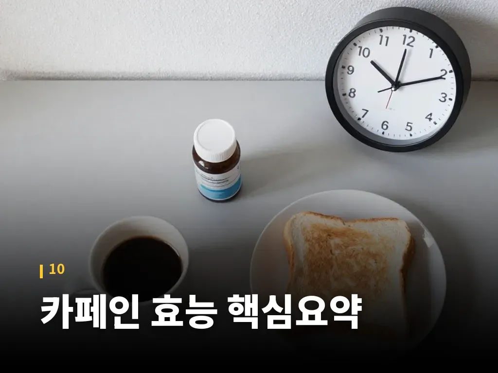 카페인 효능 핵심요약 이미지