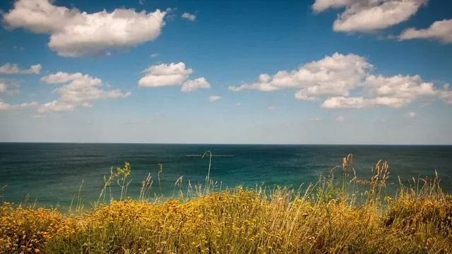 핵심 요약 이미지