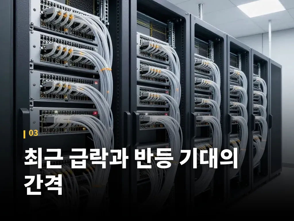 최근 급락과 반등 기대의 간격 이미지