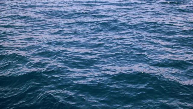 키위스파랜드 고객 후기와 방문 팁 이미지