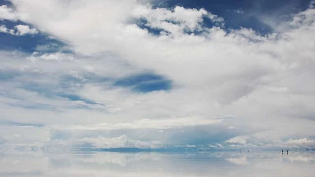 키위스파랜드 Q&A 자주 묻는 질문 이미지