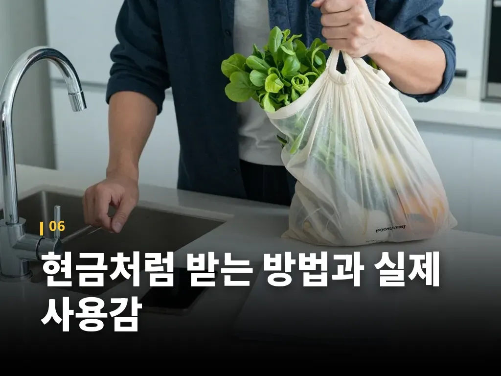 현금처럼 받는 방법과 실제 사용감 이미지