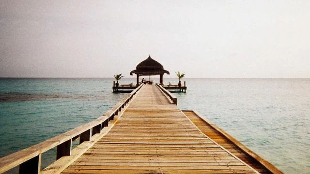 통신비 환급금과 함께 챙기면 좋은 환급금 종류 이미지