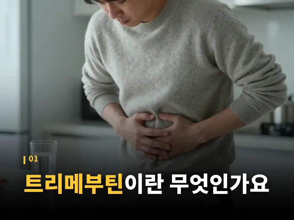 모사프리드 이토프리드 트리메부틴 차이 이미지