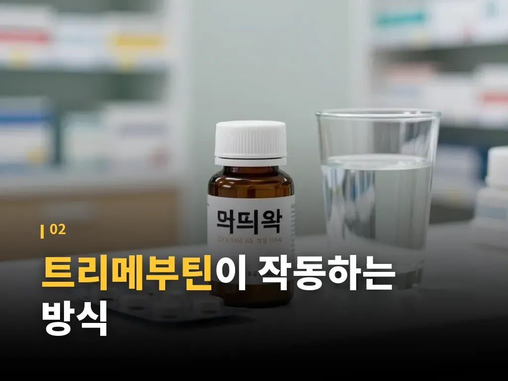 복용 전 확인해야 할 점 이미지