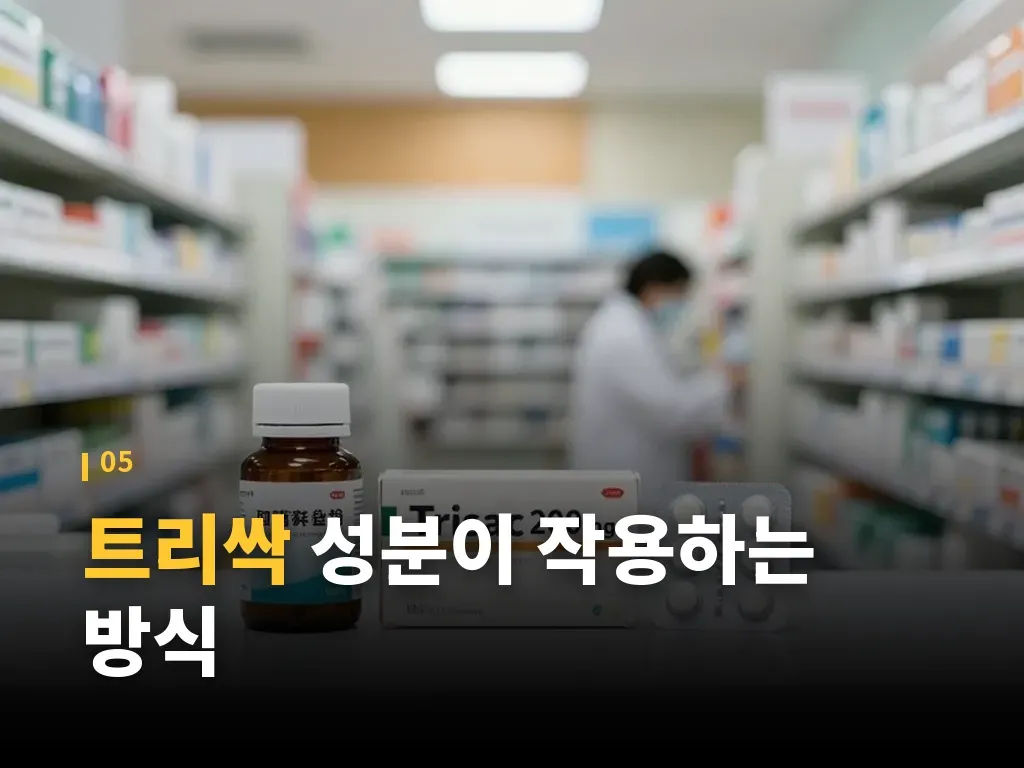 트리싹 구입 전 확인할 정보 이미지