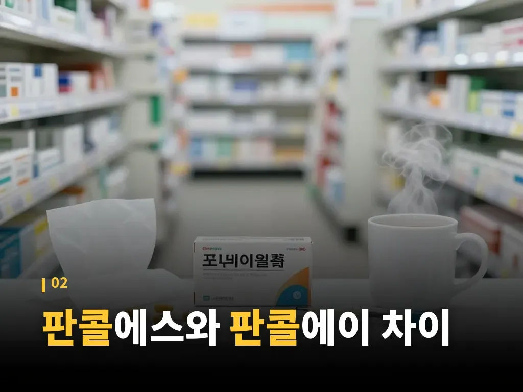 판콜 복용 방법과 시간대 이미지