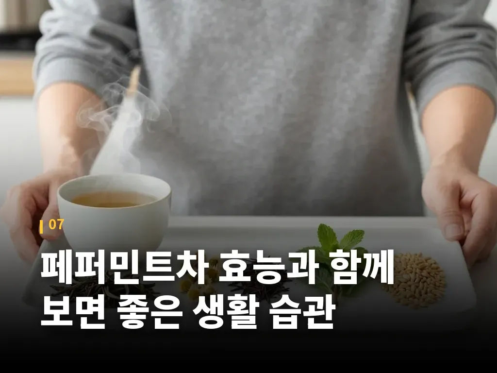 페퍼민트차 효능과 함께 보면 좋은 생활 습관 이미지
