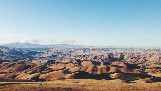 포스텔러 만세력 사용 시 주의할 점과 팁 이미지