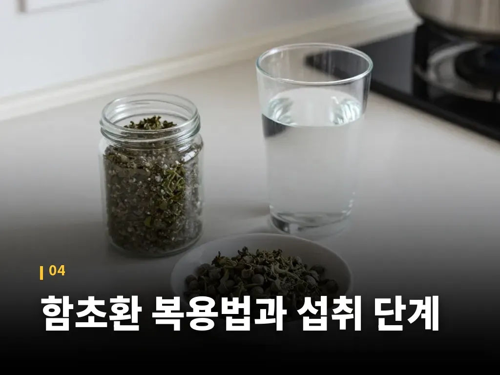 함초환 복용법과 섭취 단계 이미지
