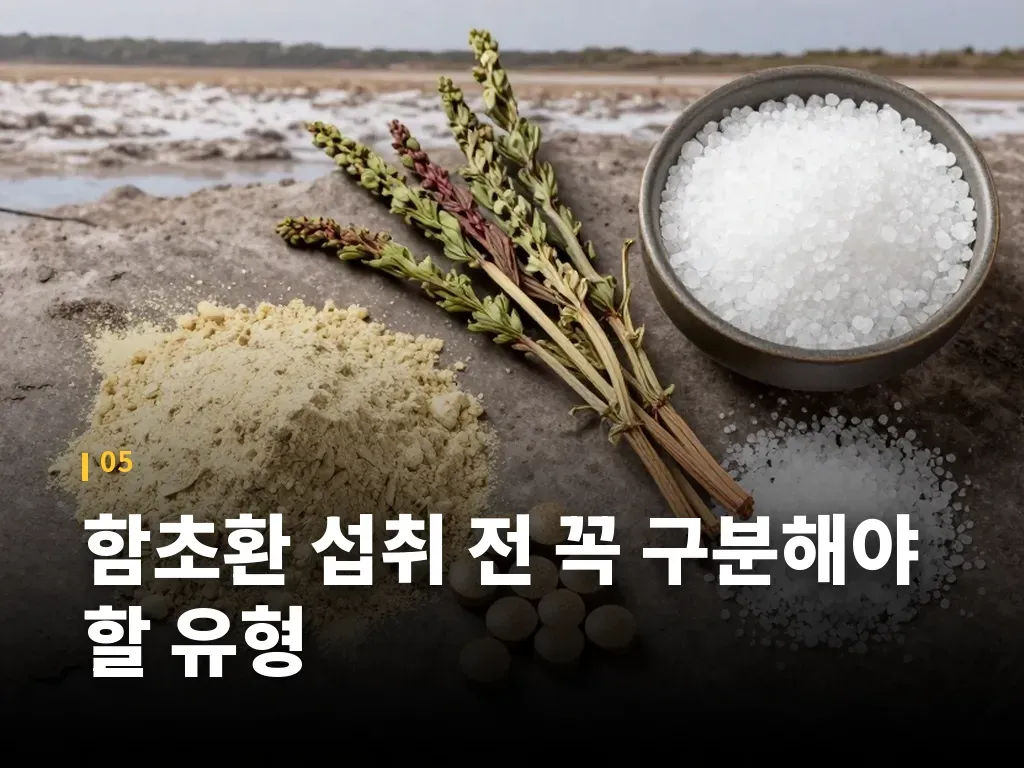 함초환 섭취 전 꼭 구분해야 할 유형 이미지