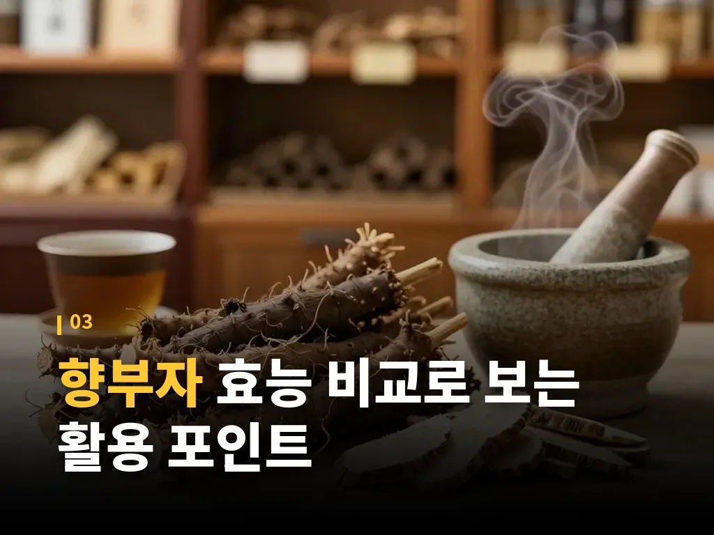 향부자 부작용과 주의해야 할 사람 이미지