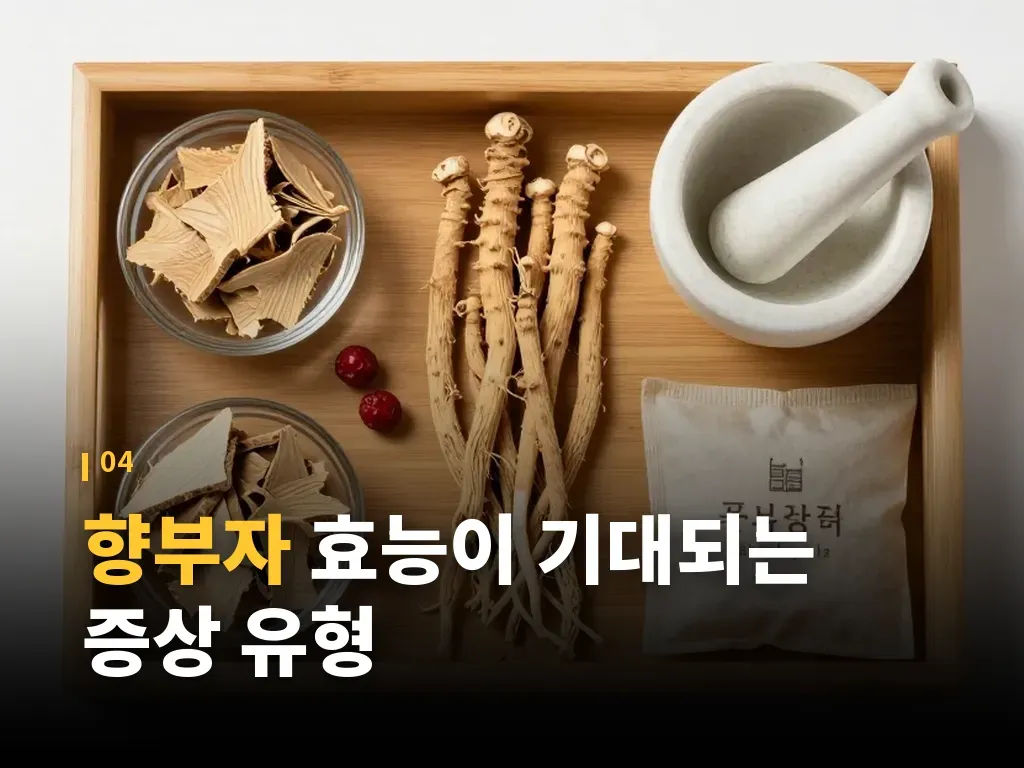 향부자와 생리통 스트레스 관리의 연결 이미지
