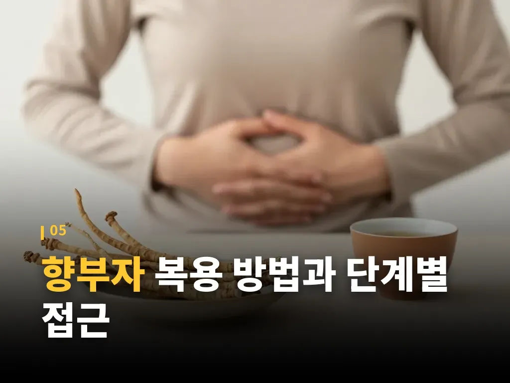 향부자 선택 시 체크해야 할 기준 이미지