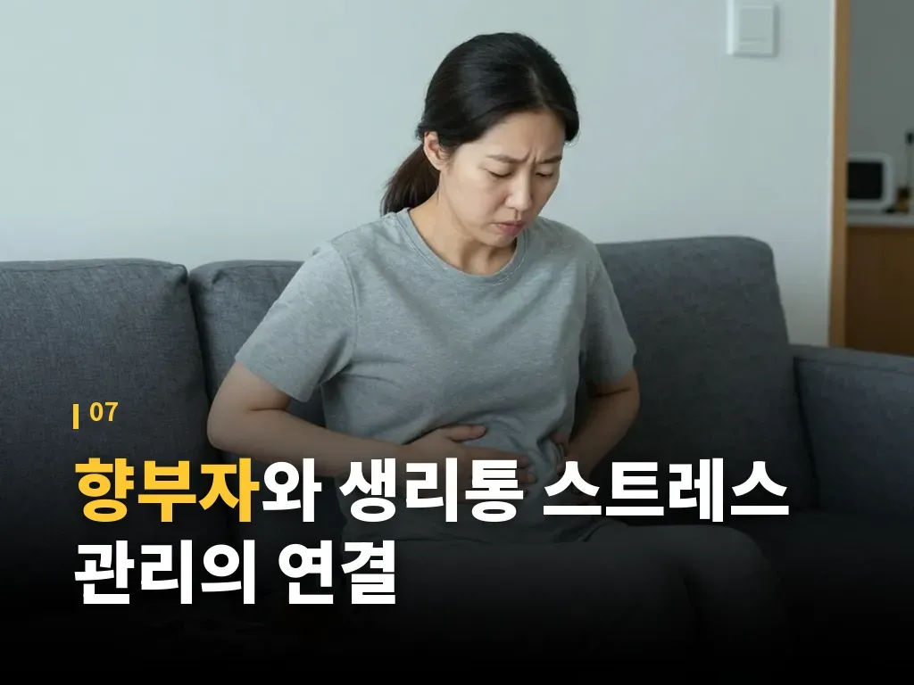 향부자 관련 오해와 진실 이미지
