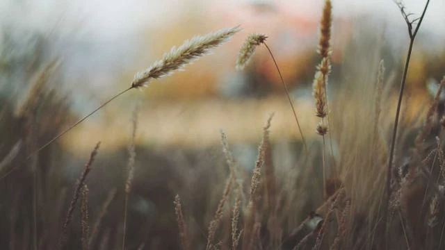 혀 갈라짐 Q&A 자주 묻는 질문 이미지