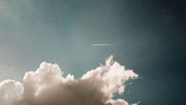 핵심 요약 이미지