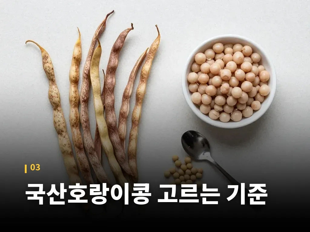 호랑이콩 부작용과 주의점 이미지