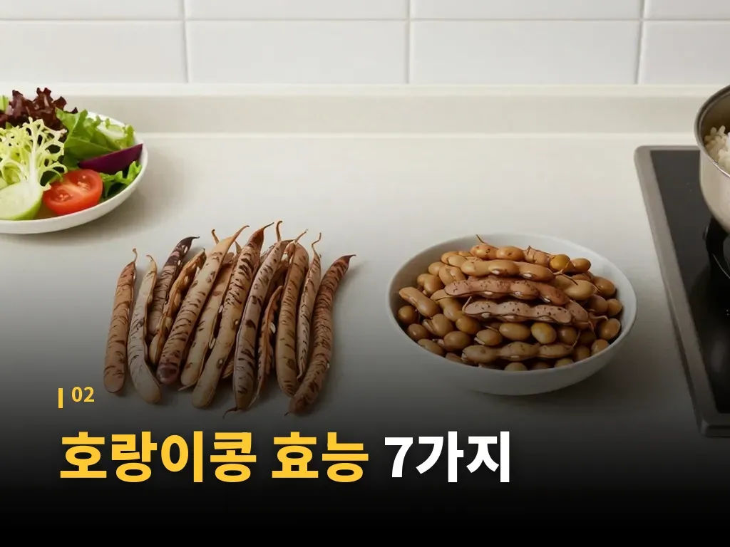 호랑이콩 먹는 방법 이미지