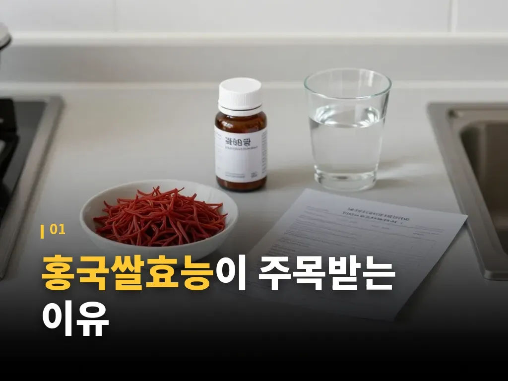 홍국쌀효능과 함께 보는 다른 기대 포인트 이미지