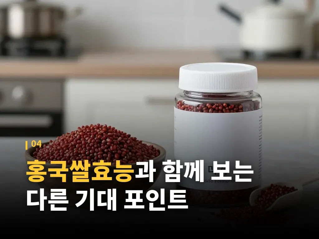 홍국쌀효능을 높이는 생활습관 조합 이미지