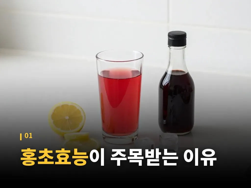 홍초효능 단계별 섭취법 이미지
