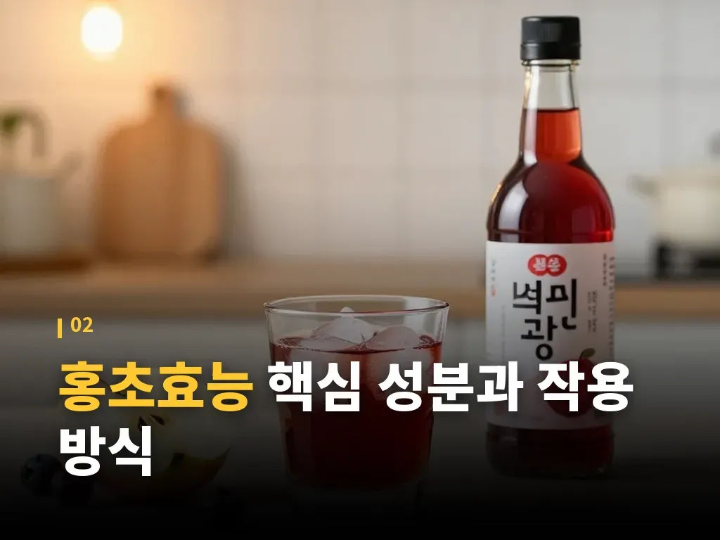 홍초효능과 다이어트의 현실 이미지