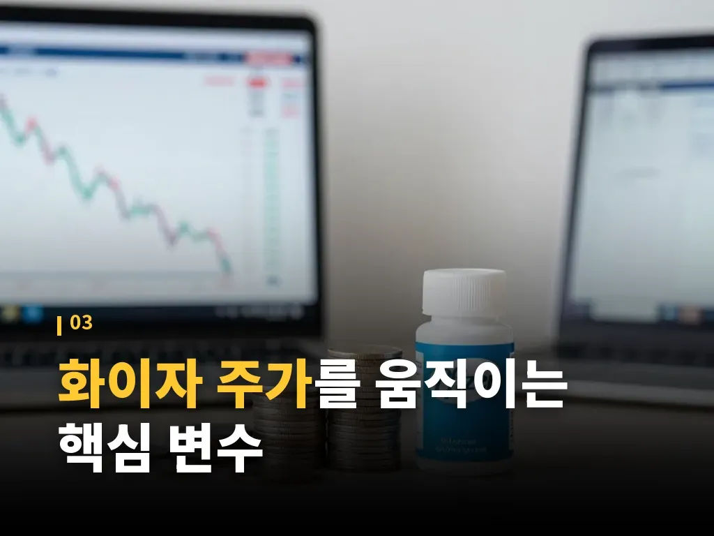 화이자 주가를 둘러싼 성장 기대와 한계 이미지