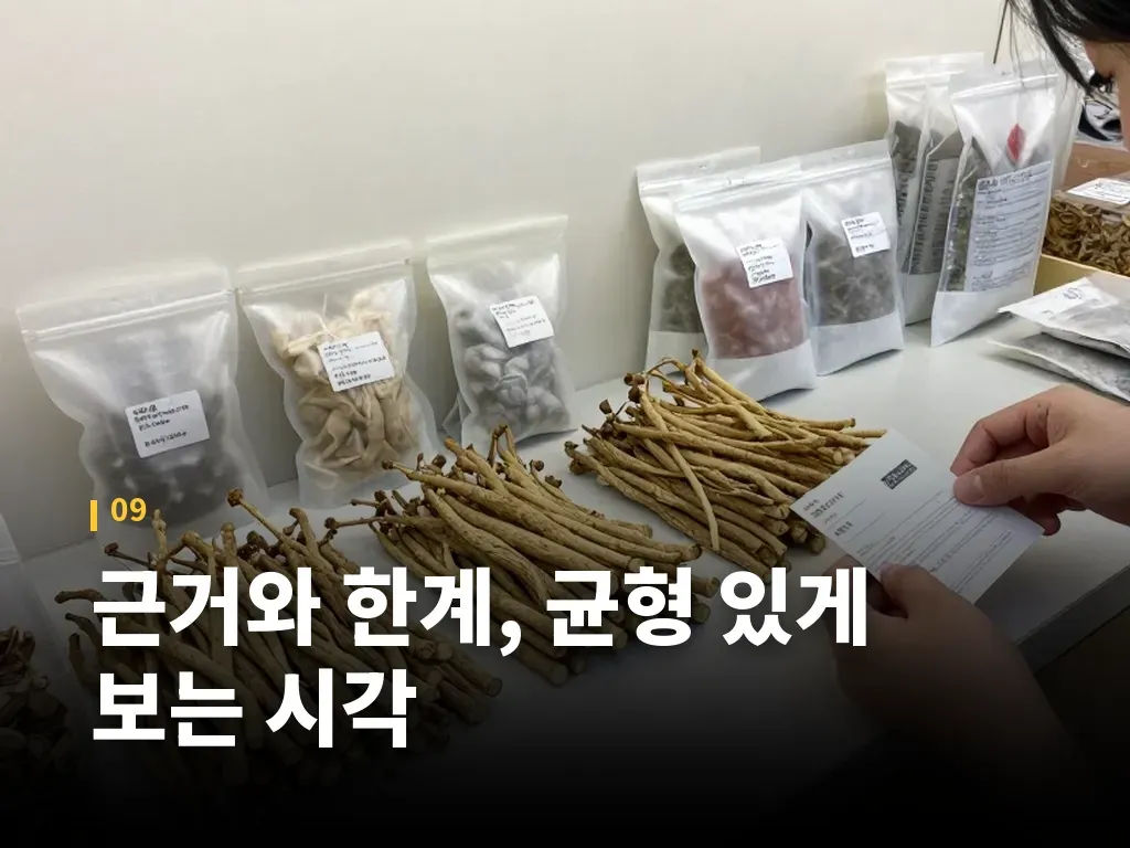 근거와 한계, 균형 있게 보는 시각 이미지