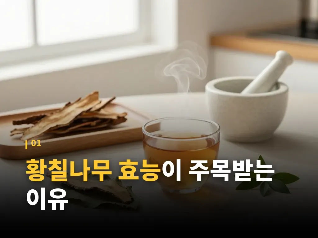 황칠나무 효능과 비슷한 재료 비교 이미지