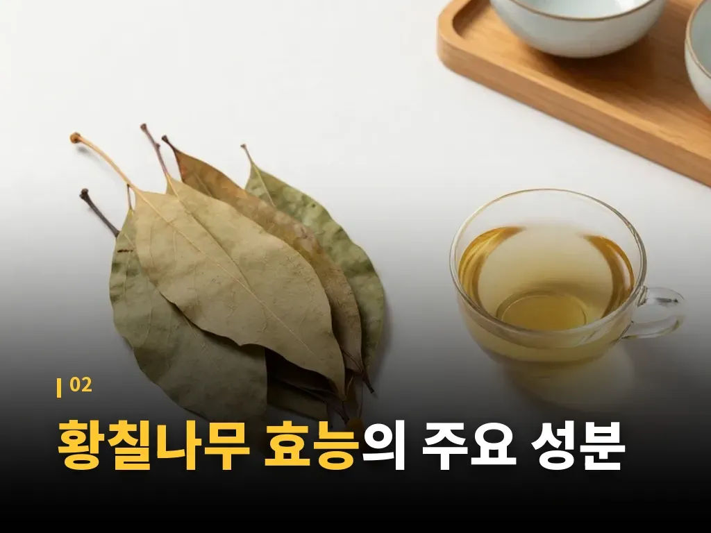 황칠나무 효능을 활용하는 섭취 단계 이미지