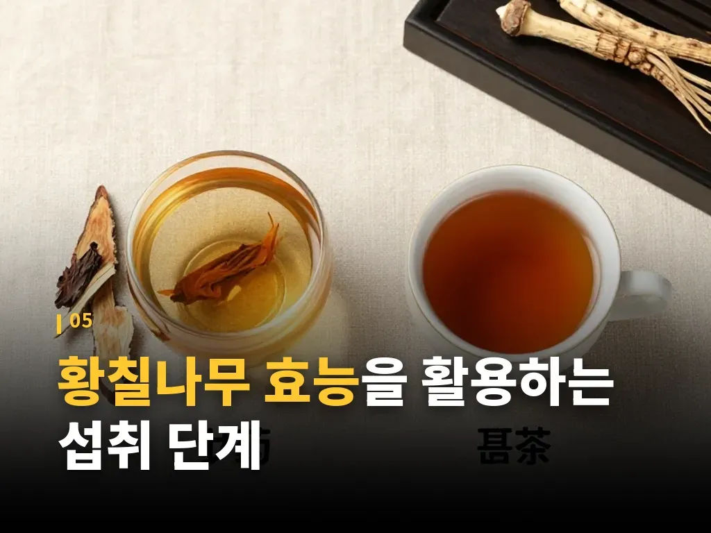 황칠나무 효능을 기대할 때 현실적인 활용 시나리오 이미지