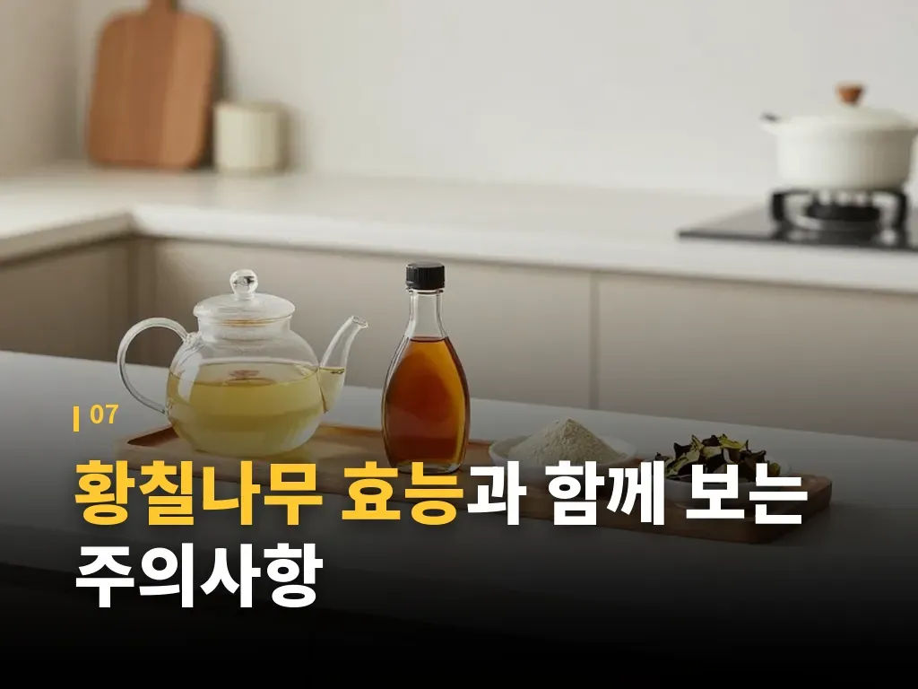 황칠나무 효능에 대한 오해와 사실 이미지