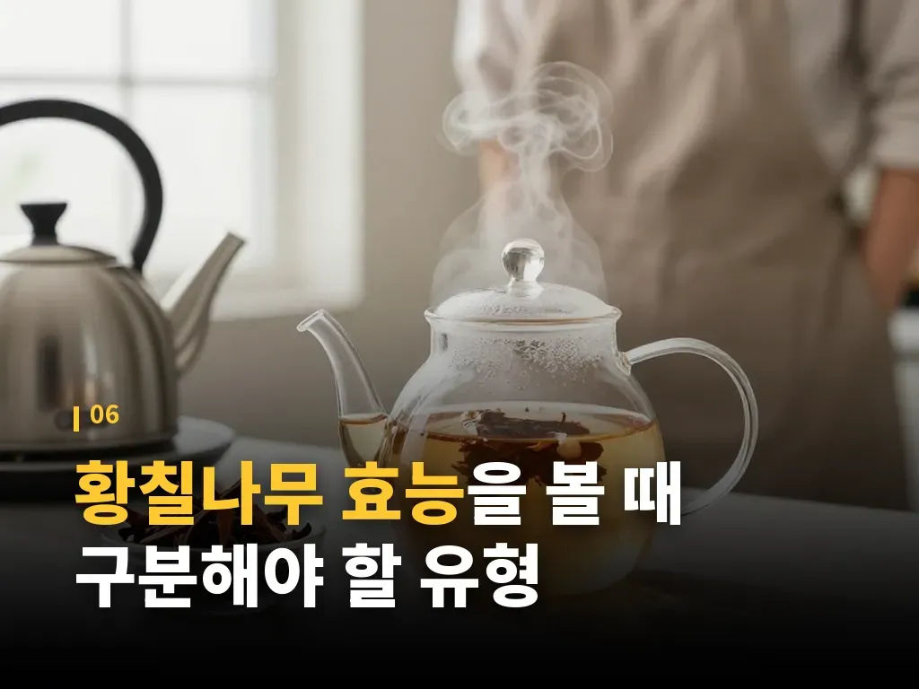 황칠나무 효능과 구매 기준 이미지