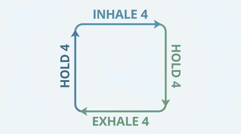 Square breathing cycle diagram showing inhale 4, hold 4, exhale 4, hold 4 in a repeating loop