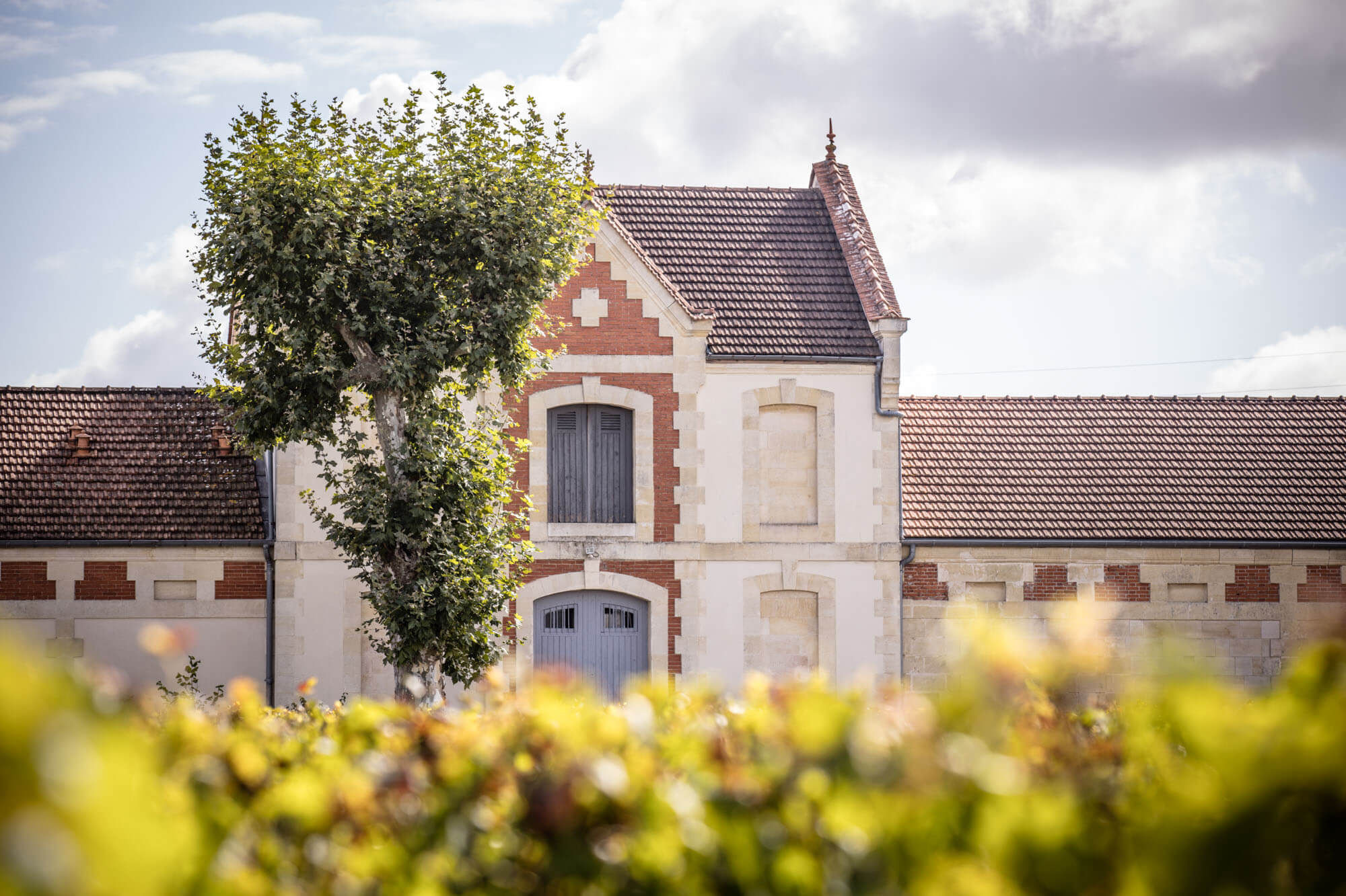 France’s top winemerchant is… - Dourthe