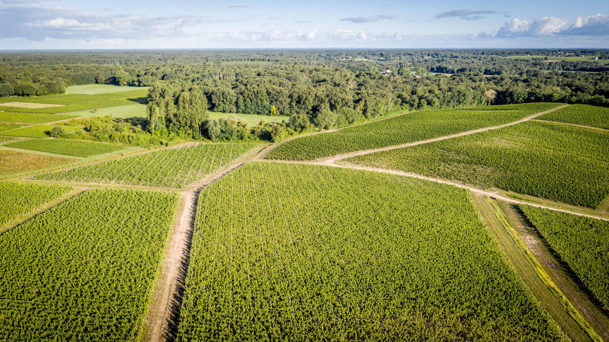 N°1 DE DOURTHE BORDEAUX BLANC  S’HABILLE AUX COULEURS LOCALES - Dourthe