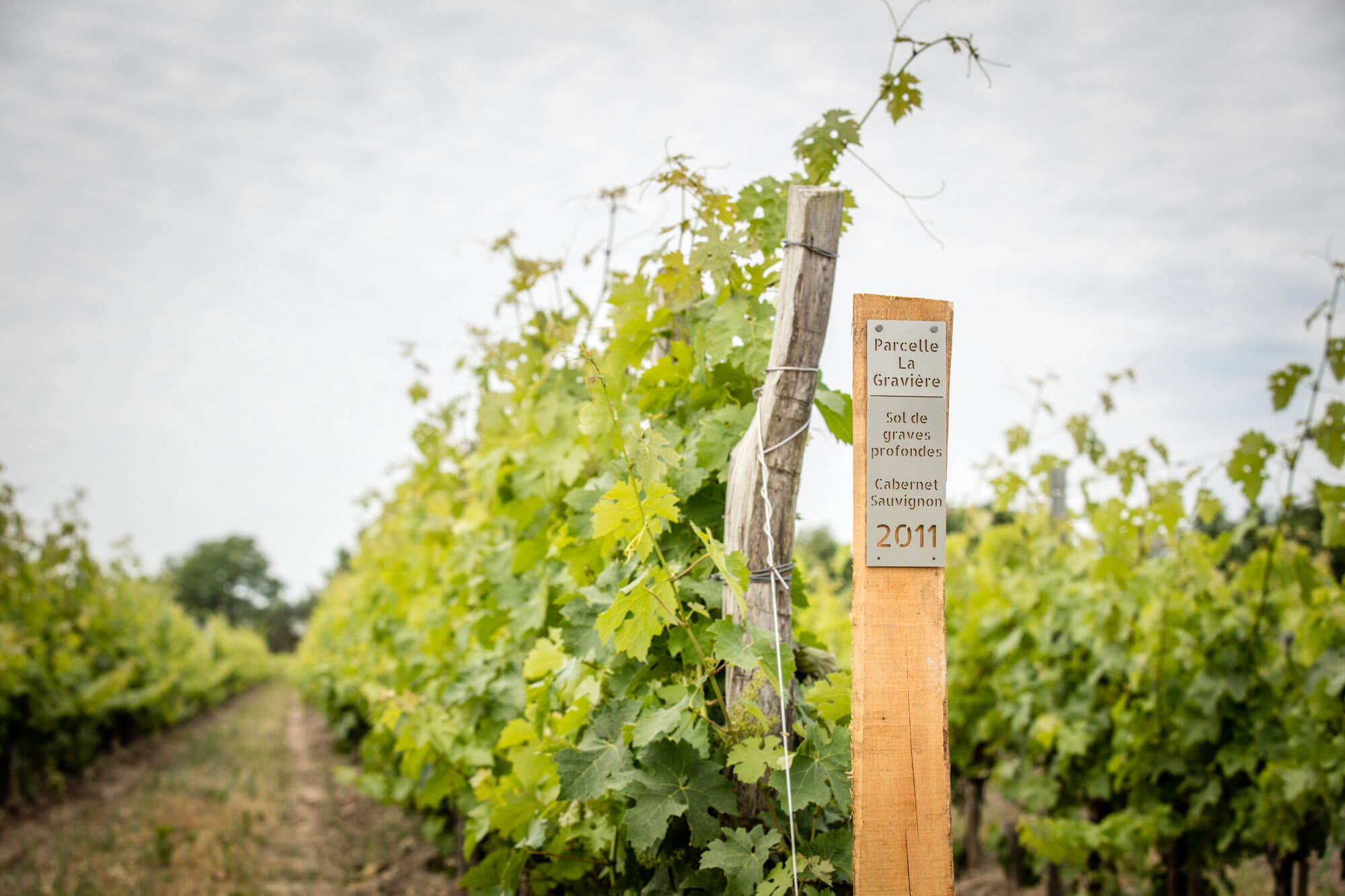 N°1 Rosé Édition Limitée été 2025 «Entre les Rives» - Dourthe