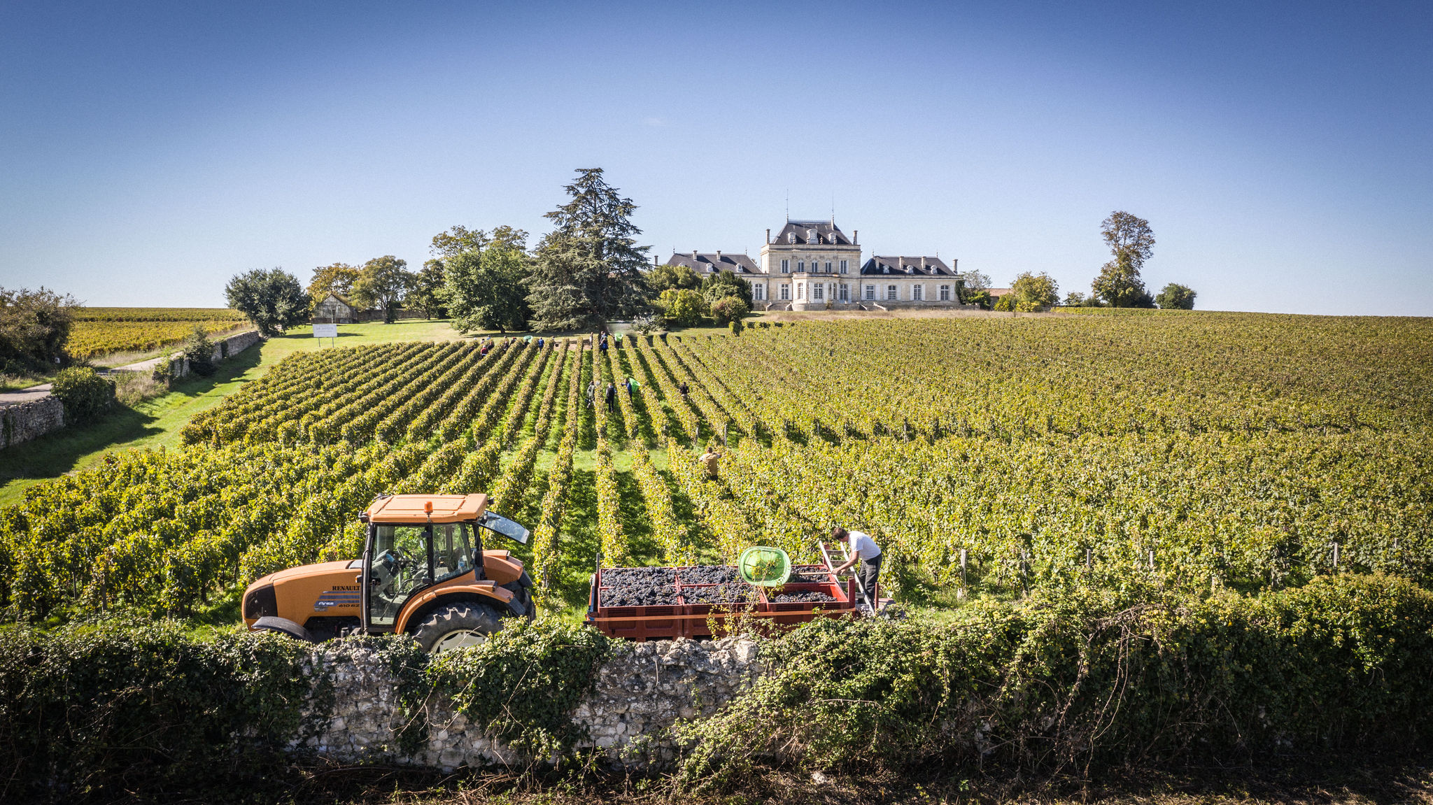 Château Le Boscq - Dourthe