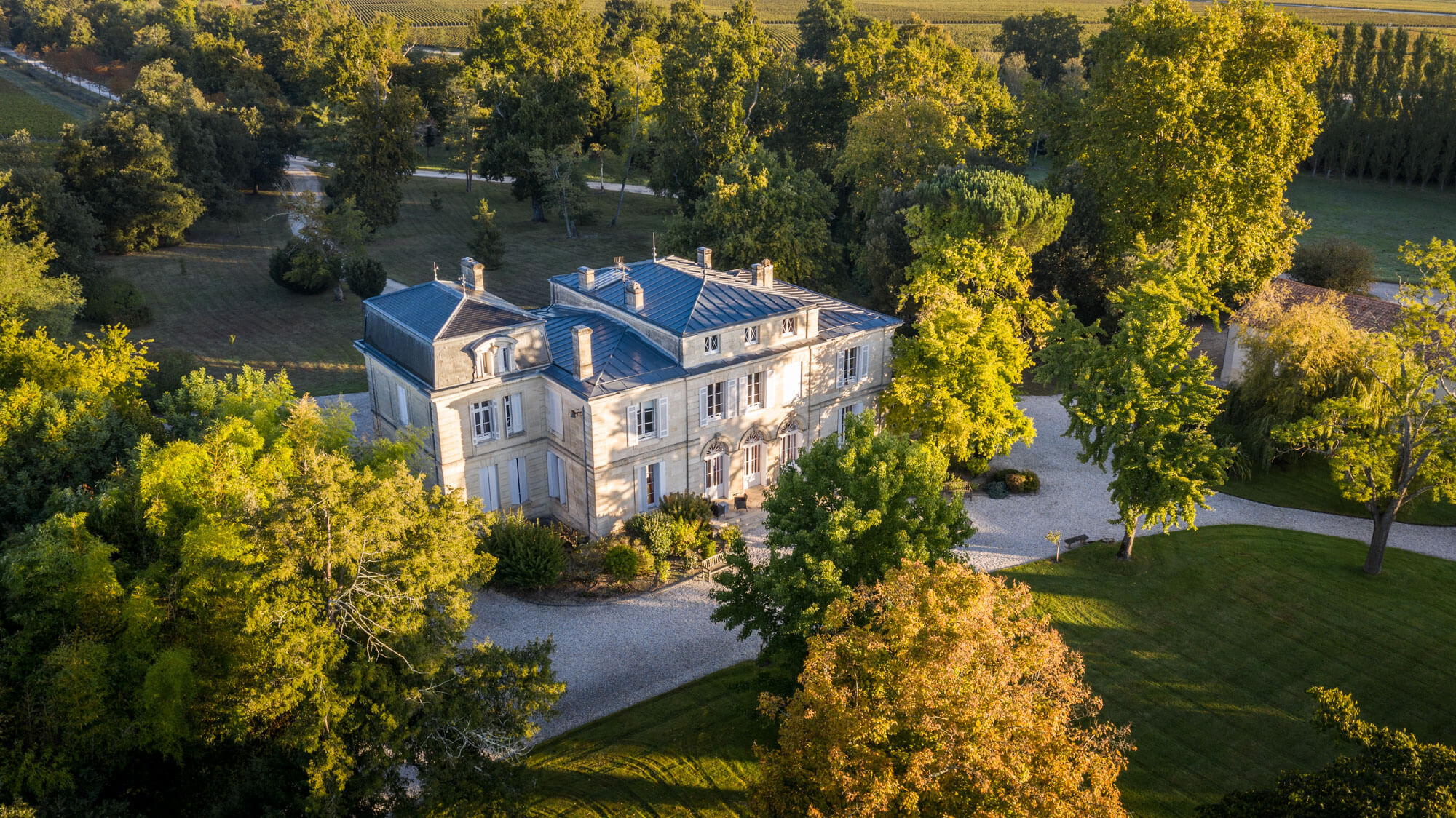 Chateau de Ricaud – Bordeaux White - Dourthe