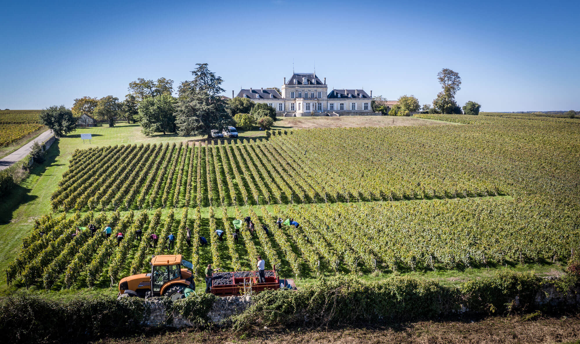 Chateau Le Boscq - Dourthe